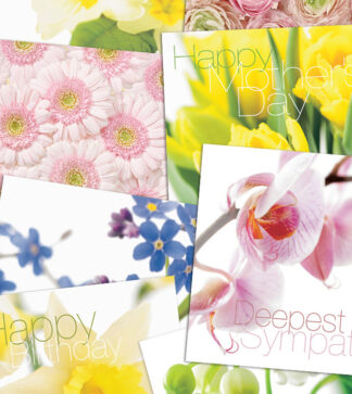 Florists' Spring Starter Pack